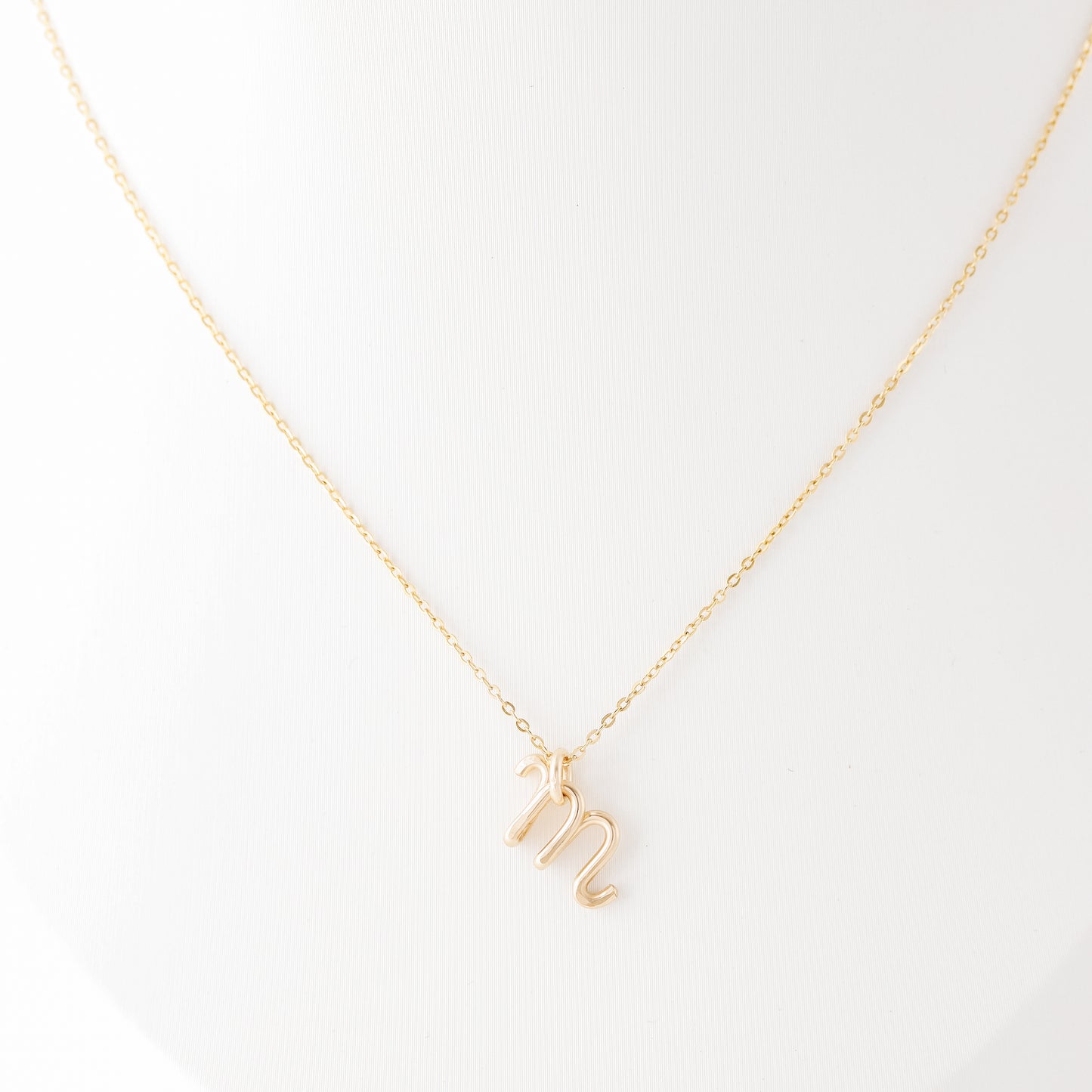 Personalized Gold Initial Necklace: Dainty Letter Monogram Pendant
