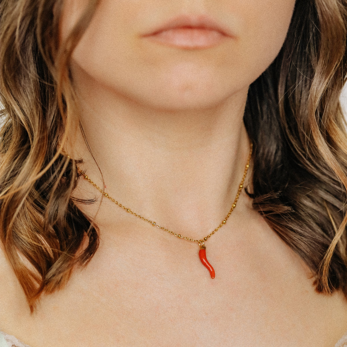 Cornicello Napoletano Pendant with Satellite Chain Necklace in Stainless Steel