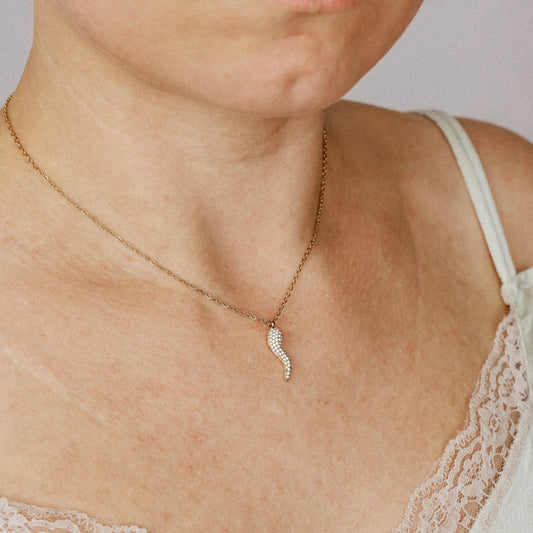 Stainless Steel Pave Italian Horn Necklace, Cornicello Necklace, Good Luck Charm, Italian Jewelry, Protection Jewelry, Chili Jewelry