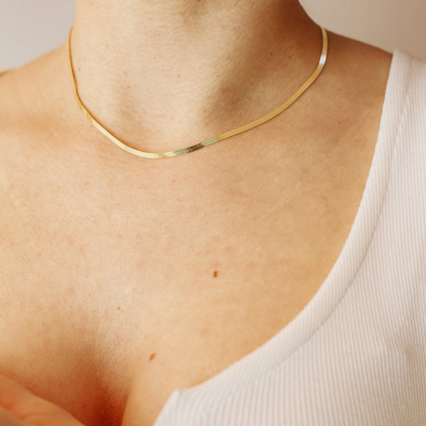 Layering Flat Snake Chain Chunky Choker Necklace Gold Silver