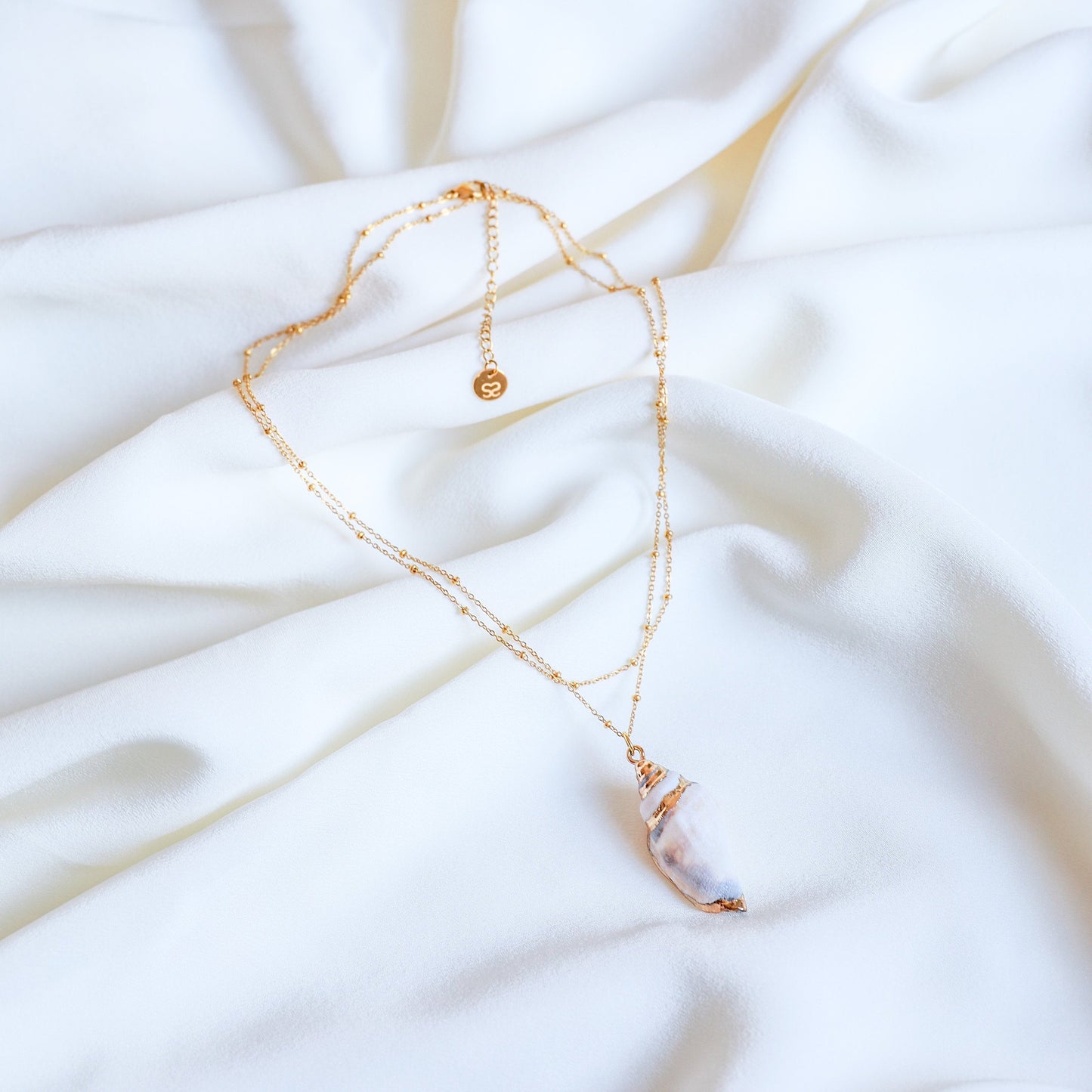 Real Conch Shell Necklace • Gold Natural Shell Necklace • Dainty Gold Necklace • Ocean Jewelry • Seashell Jewelry • Sea Shell Necklace