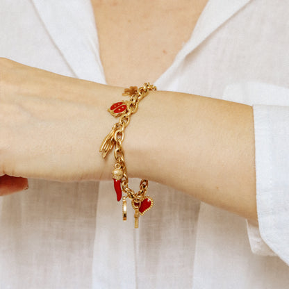 Italian Lucky Horn Charm Bracelet: Stainless Steel Good Luck Charms
