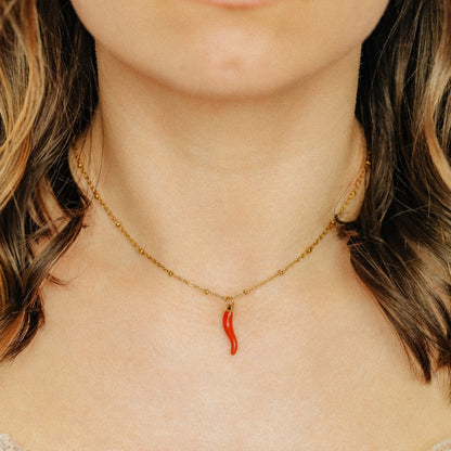 Cornicello Napoletano Pendant with Satellite Chain Necklace in Stainless Steel