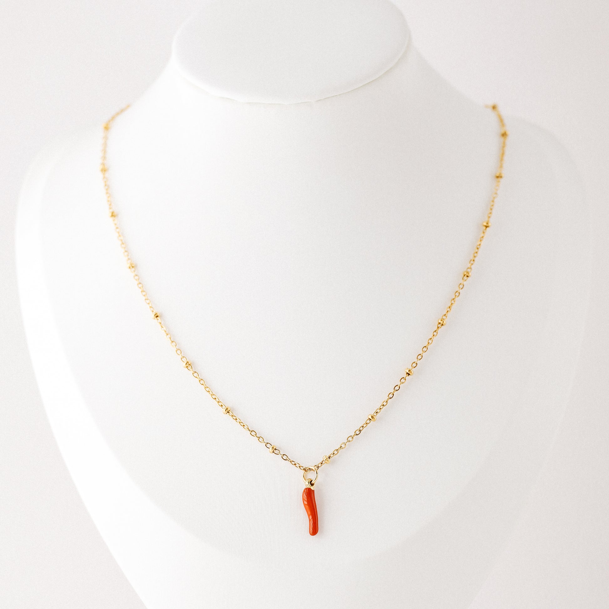 Cornicello Napoletano Pendant with Satellite Chain Necklace in Stainless Steel