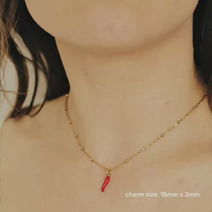 Cornicello Napoletano Pendant with Satellite Chain Necklace in Stainless Steel