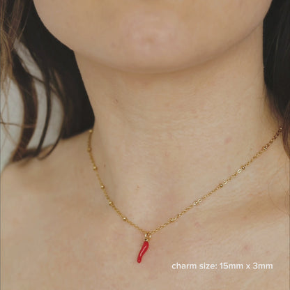 Lucky Horn Charm with Satellite Chain Necklace