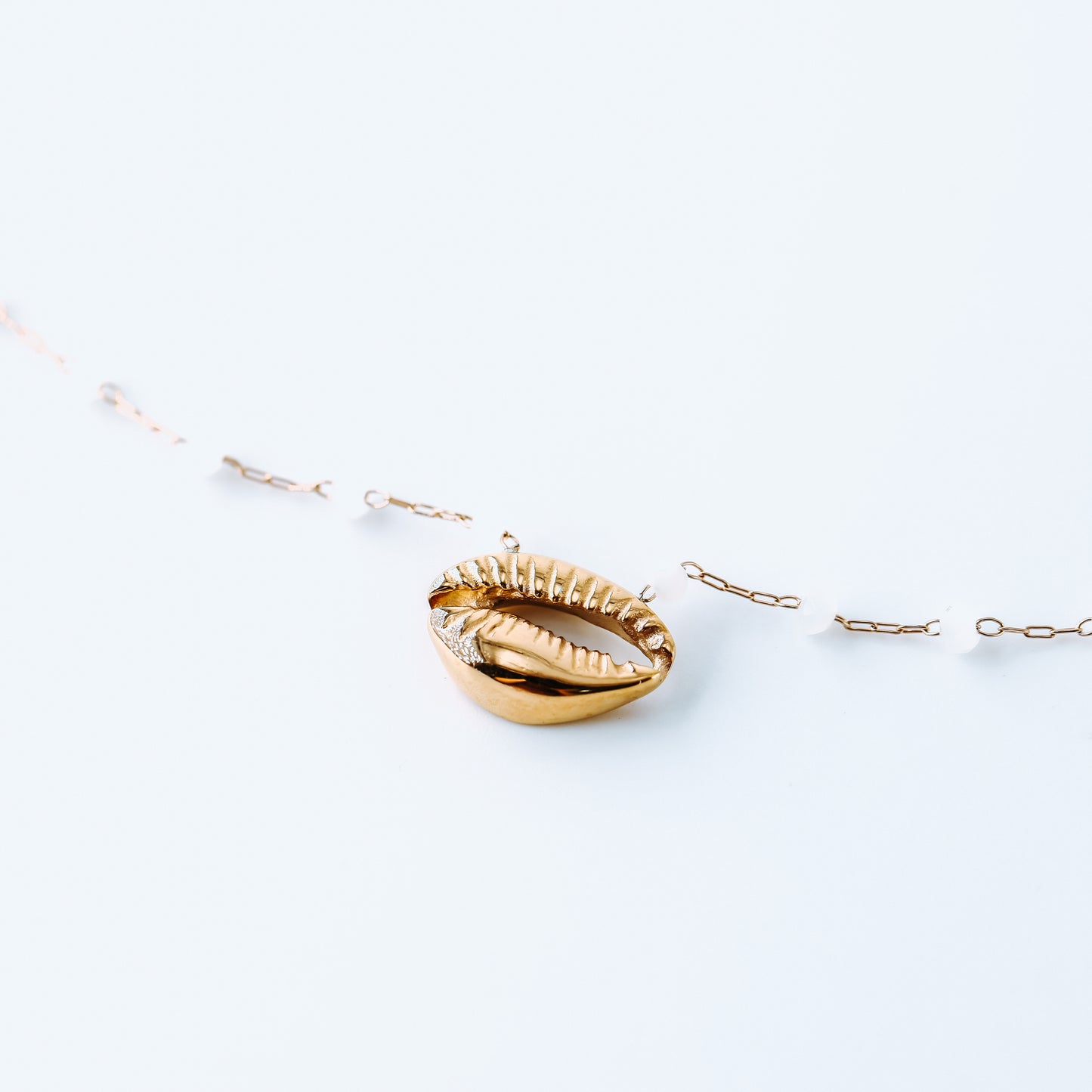 Cowrie Shell Necklace • Silver Shell Necklace • Cowrie Shell Choker • Cowrie Shell Jewelry • Simple Cowrie Shell Necklace • BYSDMJEWELS