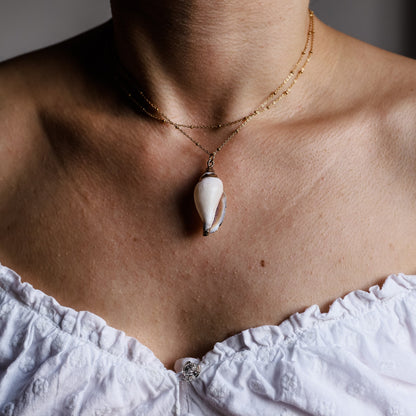 Real Conch Shell Necklace • Gold Natural Shell Necklace • Dainty Gold Necklace • Ocean Jewelry • Seashell Jewelry • Sea Shell Necklace