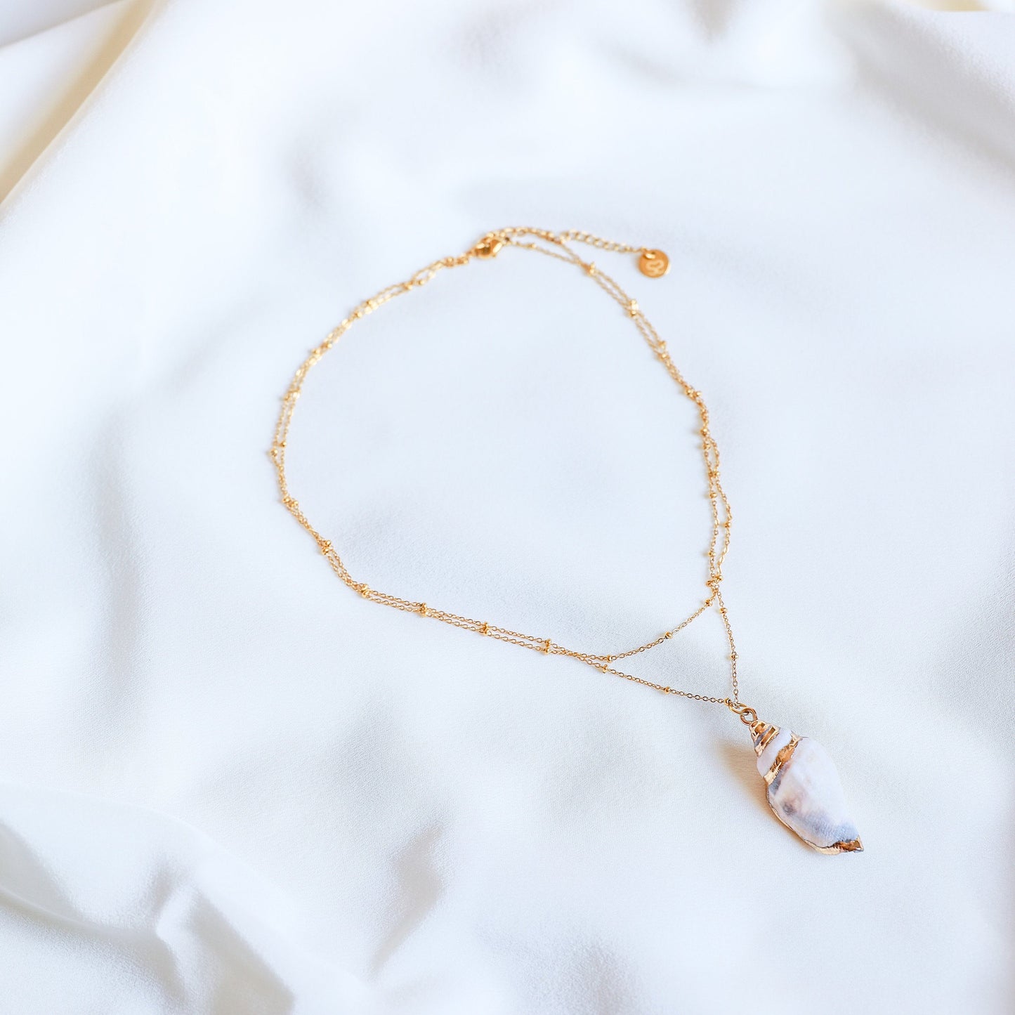 Real Conch Shell Necklace • Gold Natural Shell Necklace • Dainty Gold Necklace • Ocean Jewelry • Seashell Jewelry • Sea Shell Necklace