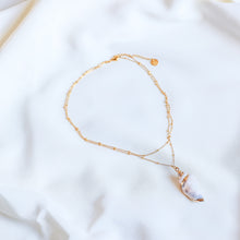 Load image into Gallery viewer, Real Conch Shell Necklace • Gold Natural Shell Necklace • Dainty Gold Necklace • Ocean Jewelry • Seashell Jewelry • Sea Shell Necklace
